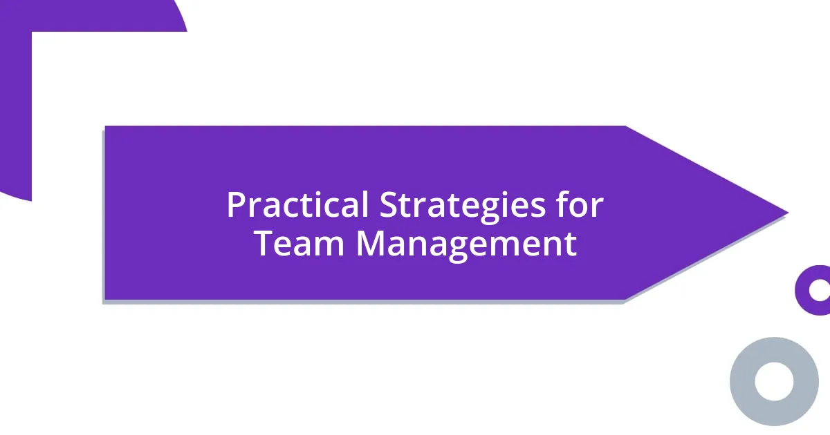 Practical Strategies for Team Management